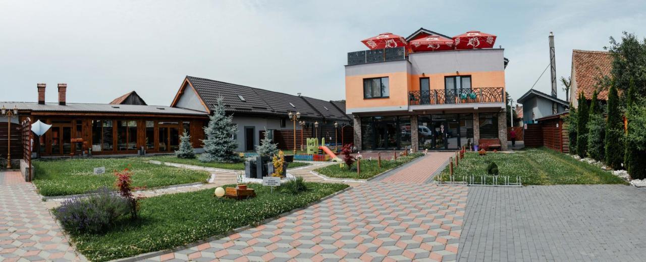 Pensiune Confort Morosanu Sinca Veche エクステリア 写真