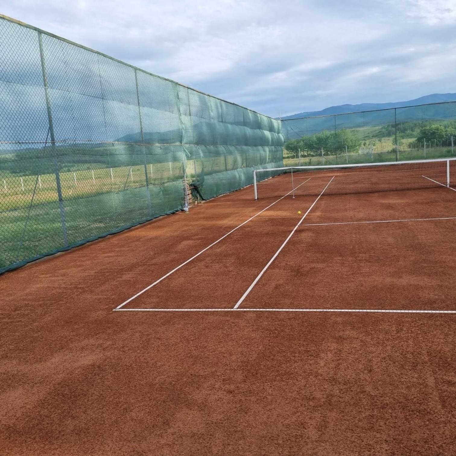 Pensiune Confort Morosanu Sinca Veche エクステリア 写真